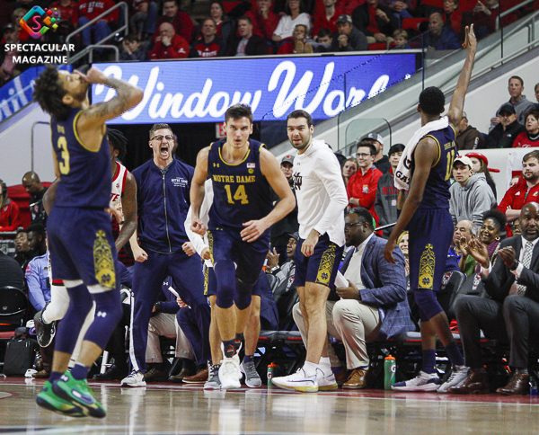 Notre Dame's becnch celebrates after Nate Laszewski (14) made a 3-pointer during the second half against N.C. State on Wednesday, Jan. 8, at PNC Arena in Raleigh, N.C. NCST defeated ND 73-68.