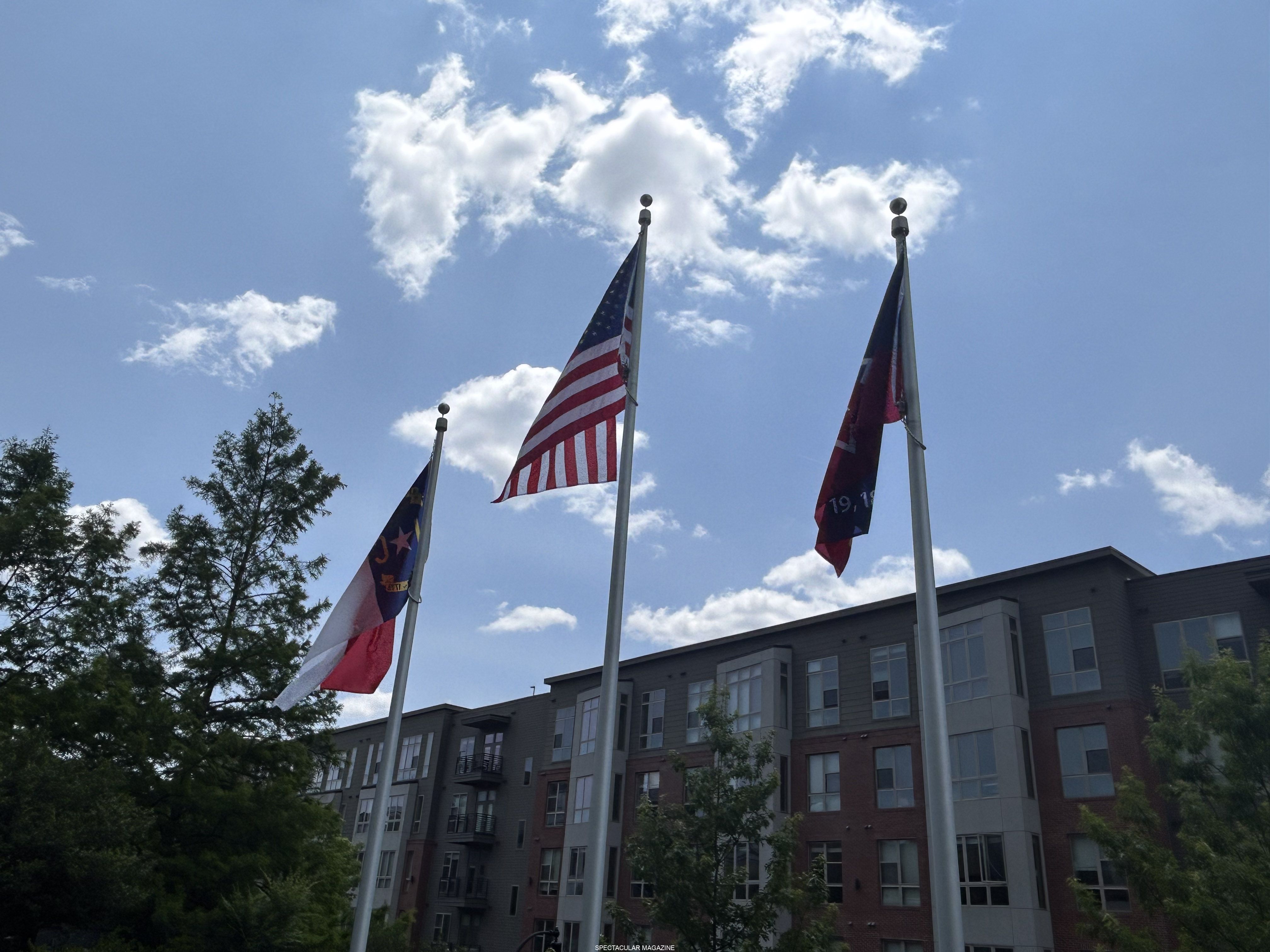 45-IMG_3250