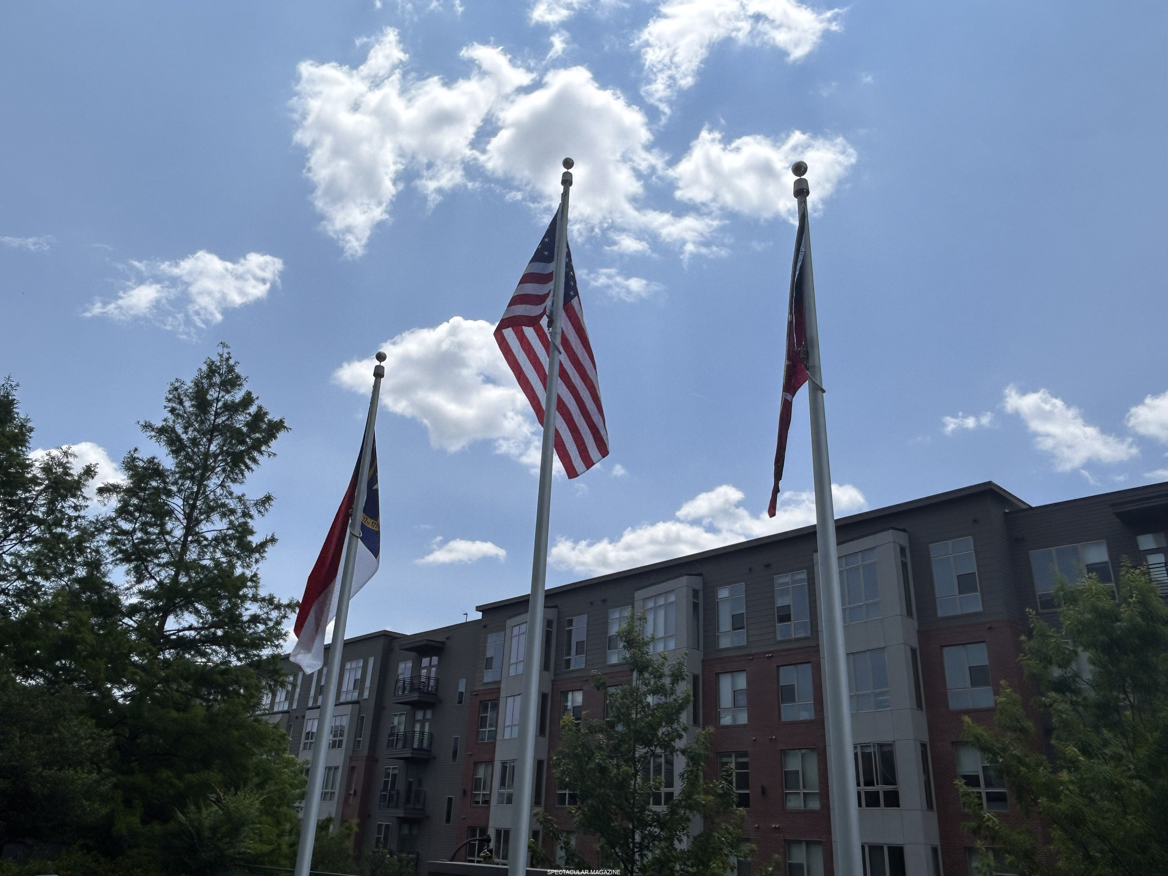 46-IMG_3251