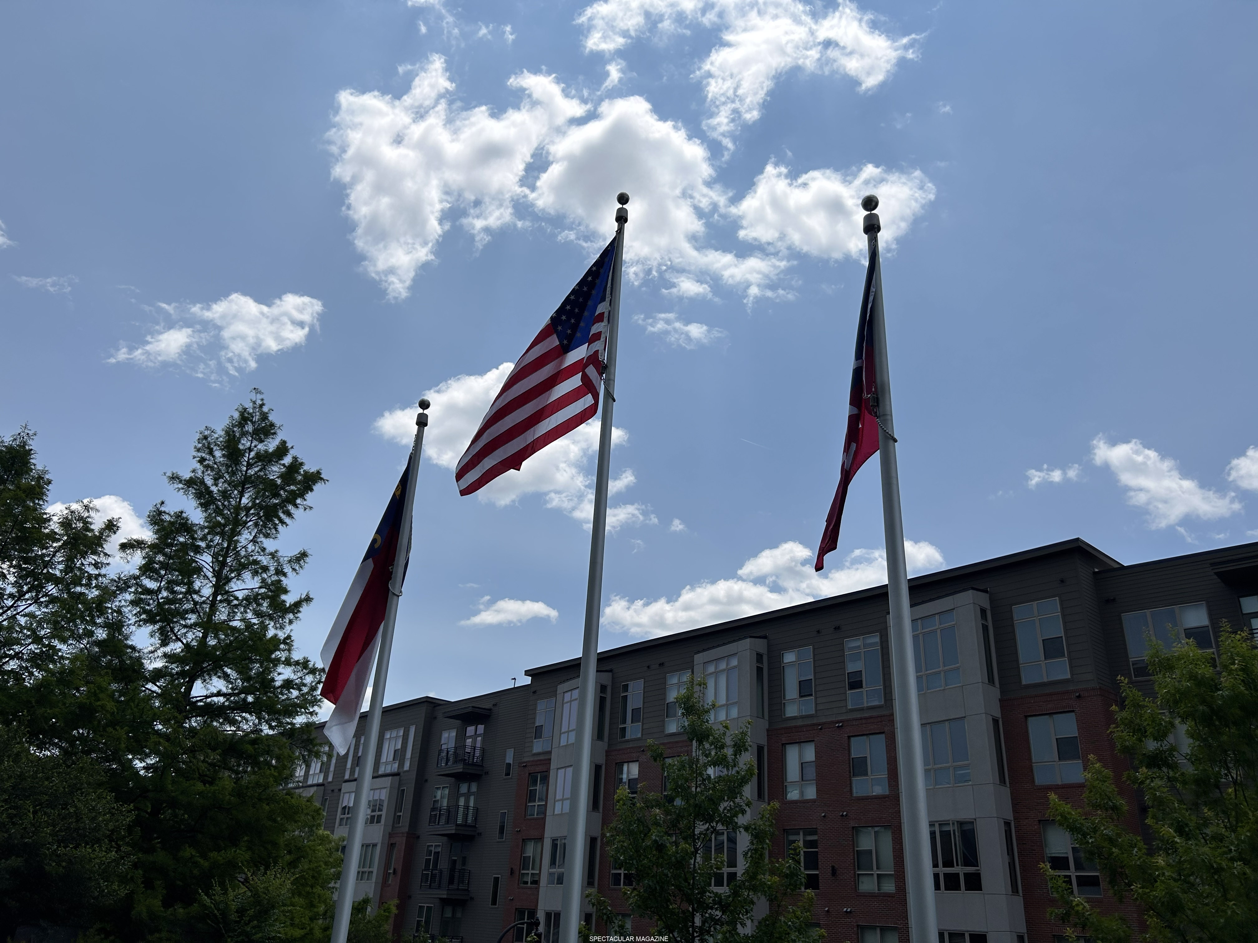 47-IMG_3252