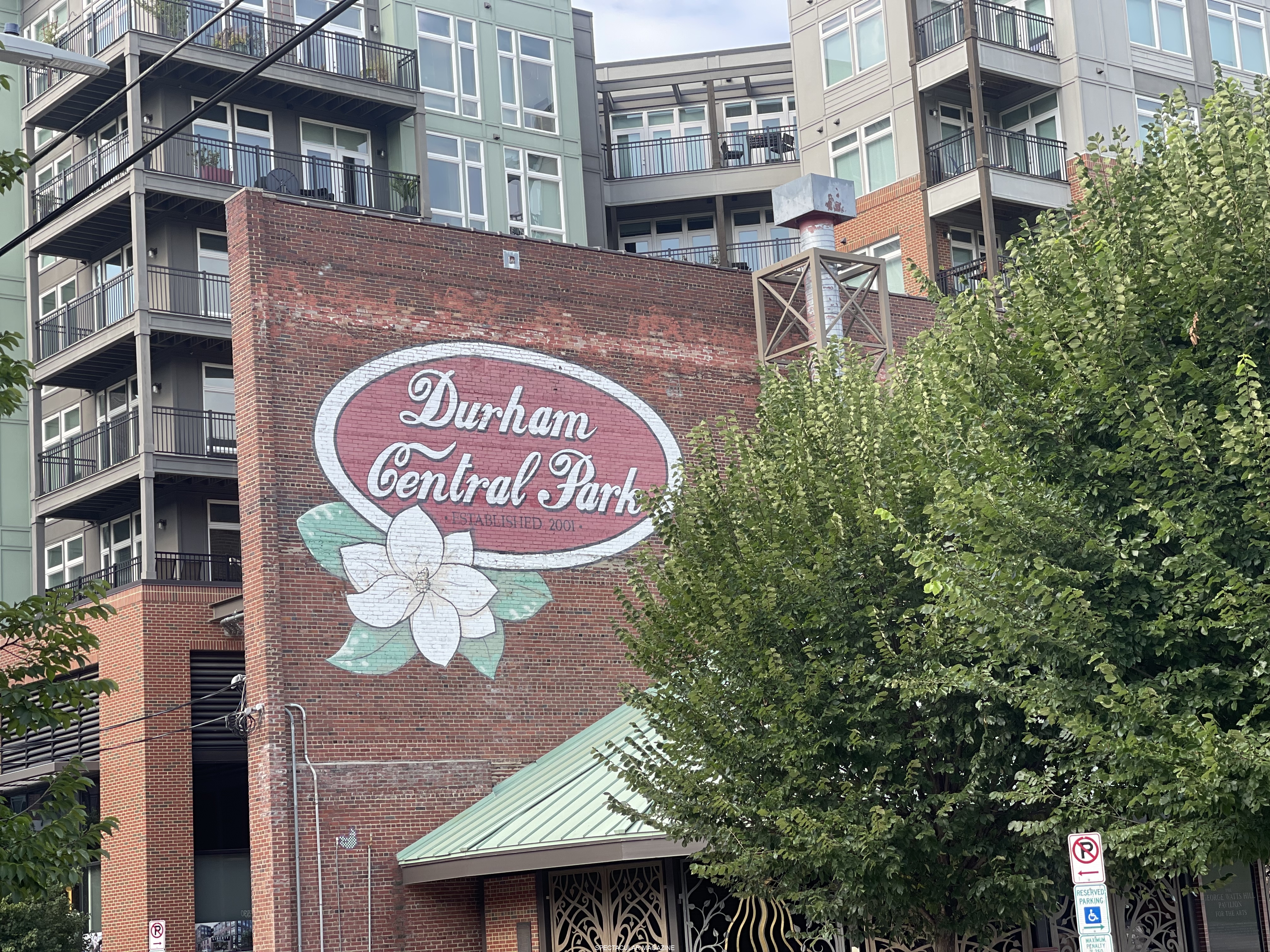 Micah-Speed-0A467583-50FA-420A-A22D-E12193FFA500