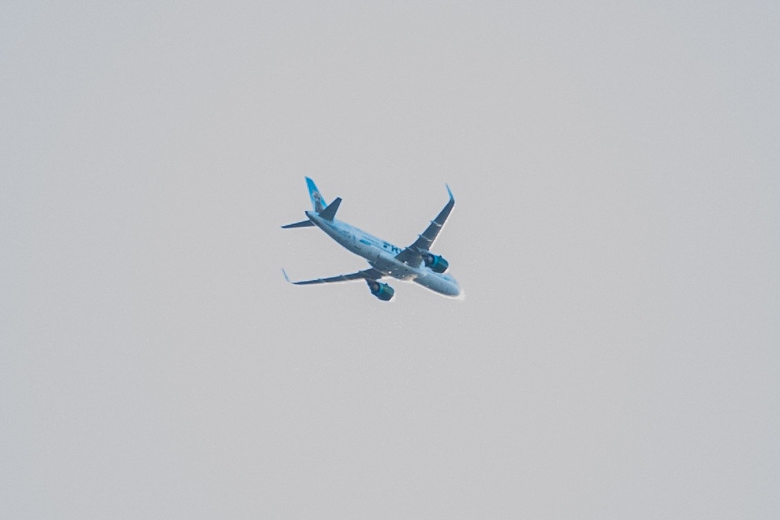 41-IMG_3182