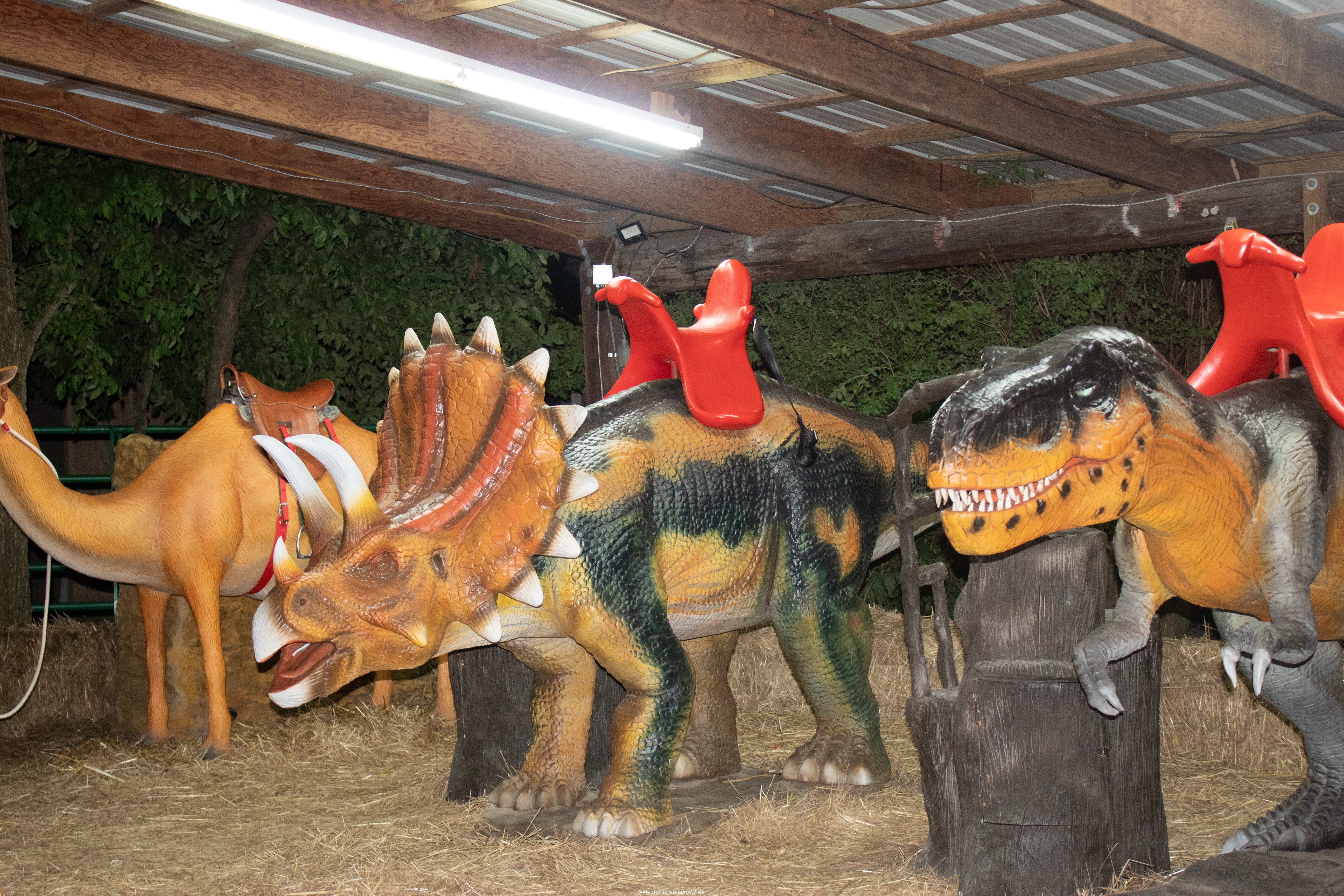 dino-18