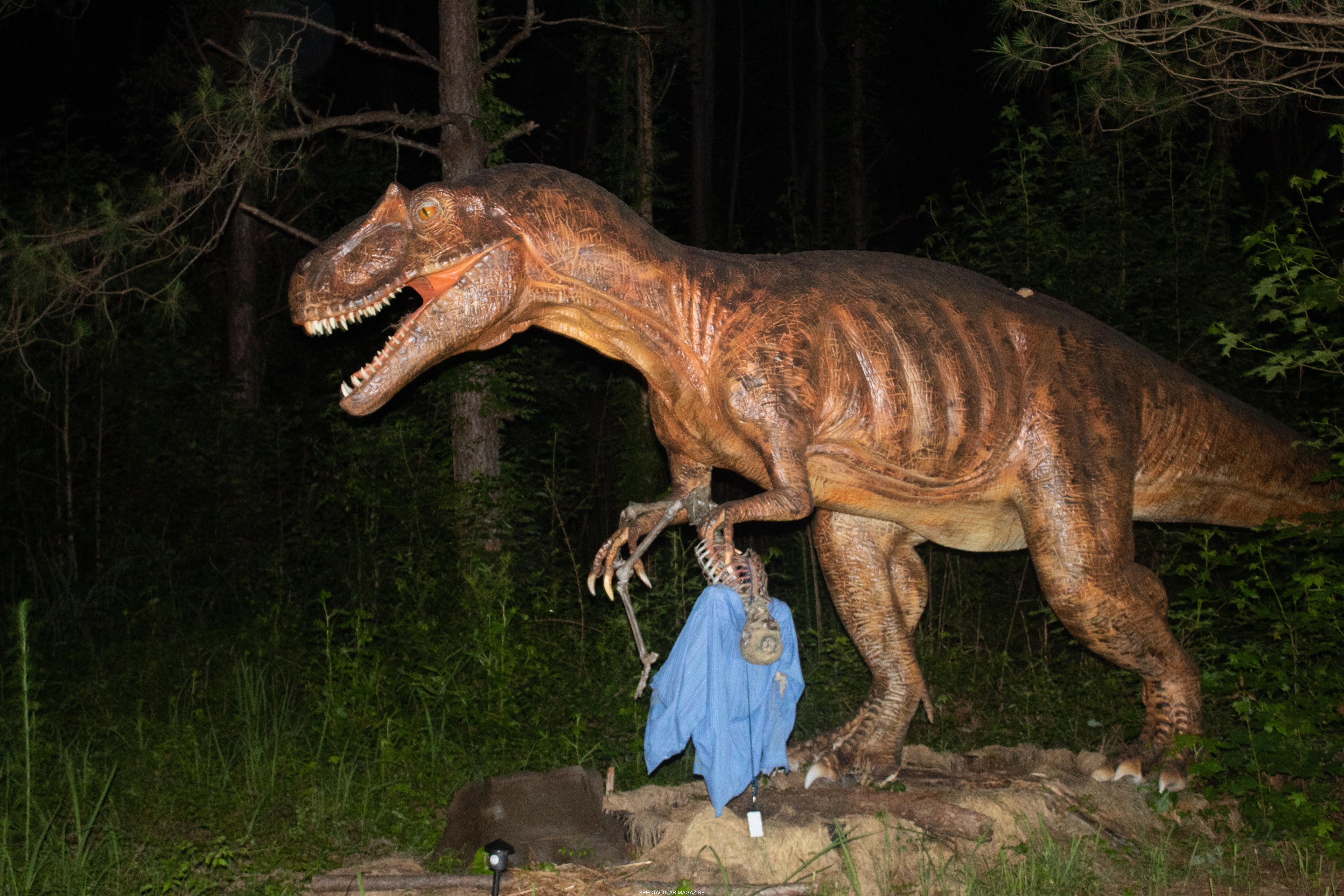dino-32