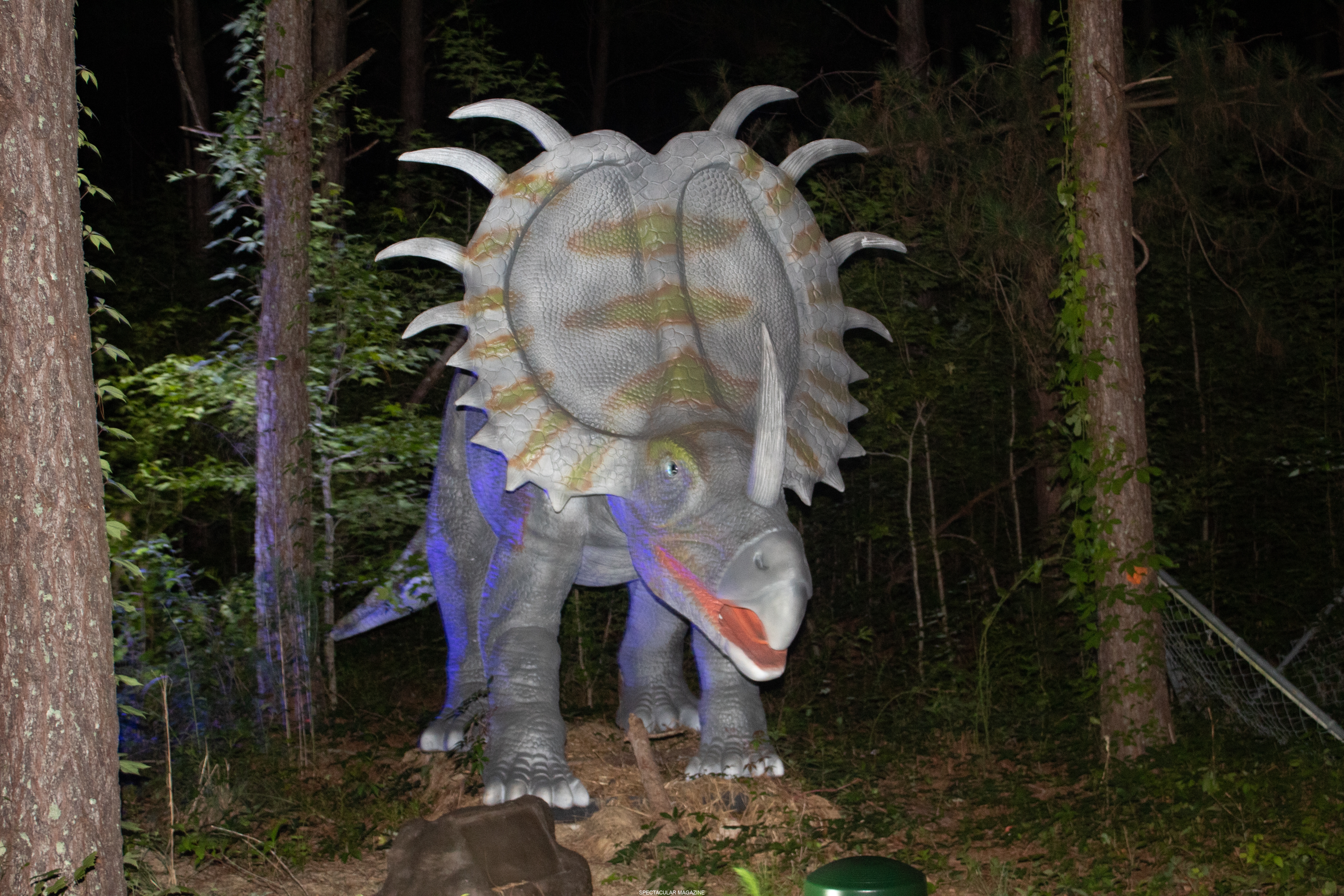 dino-33