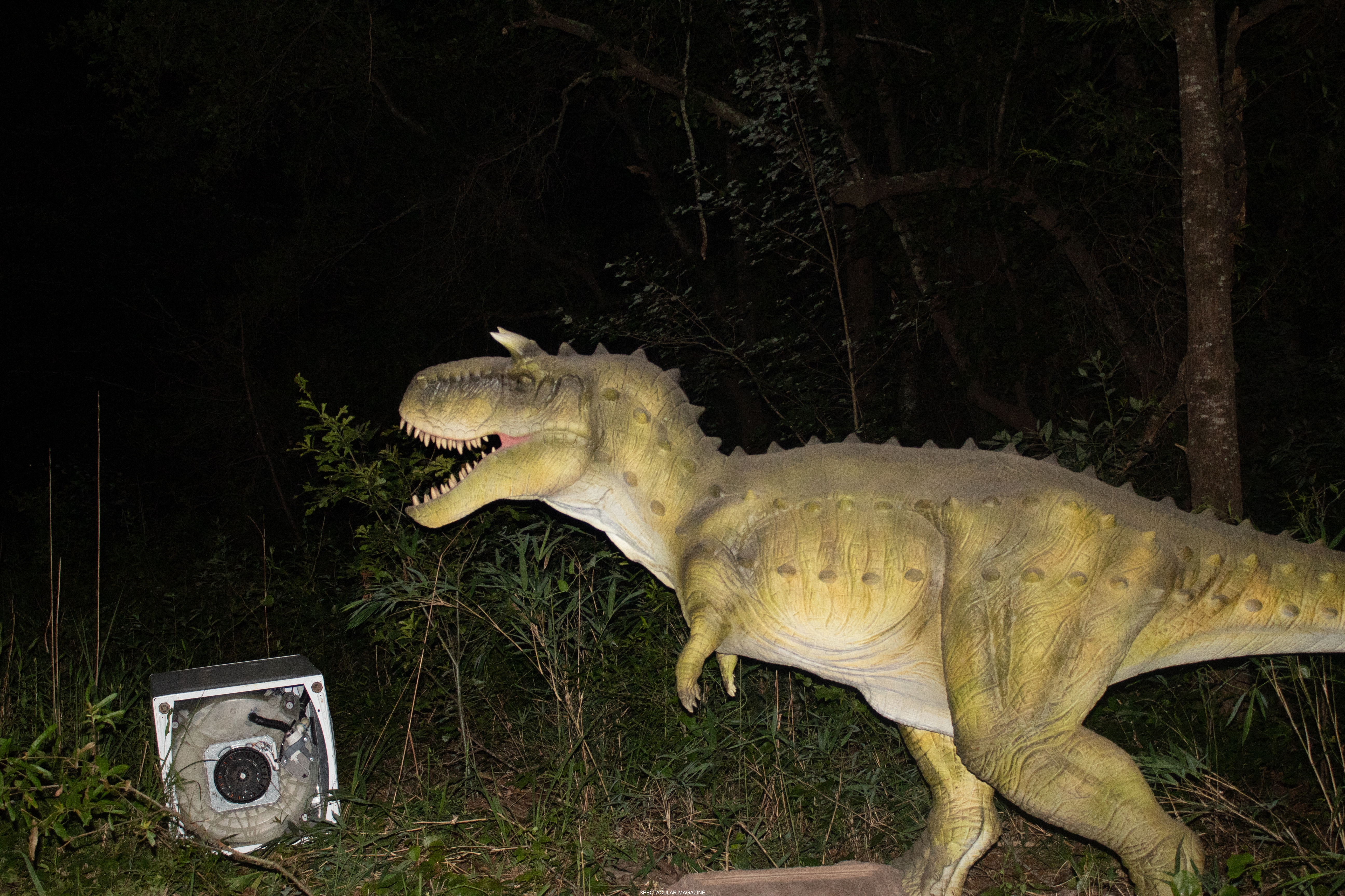 dino-34