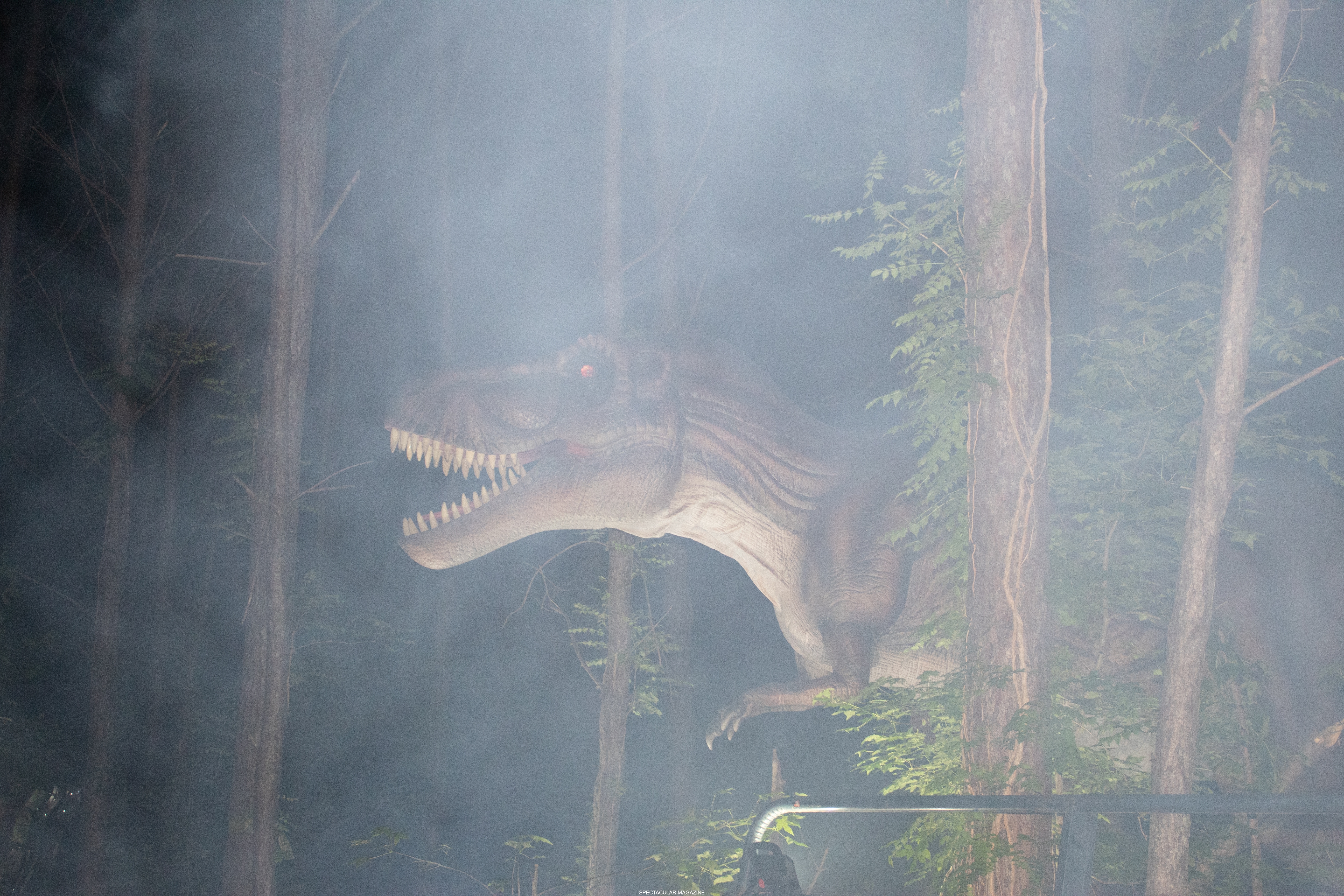 dino-38