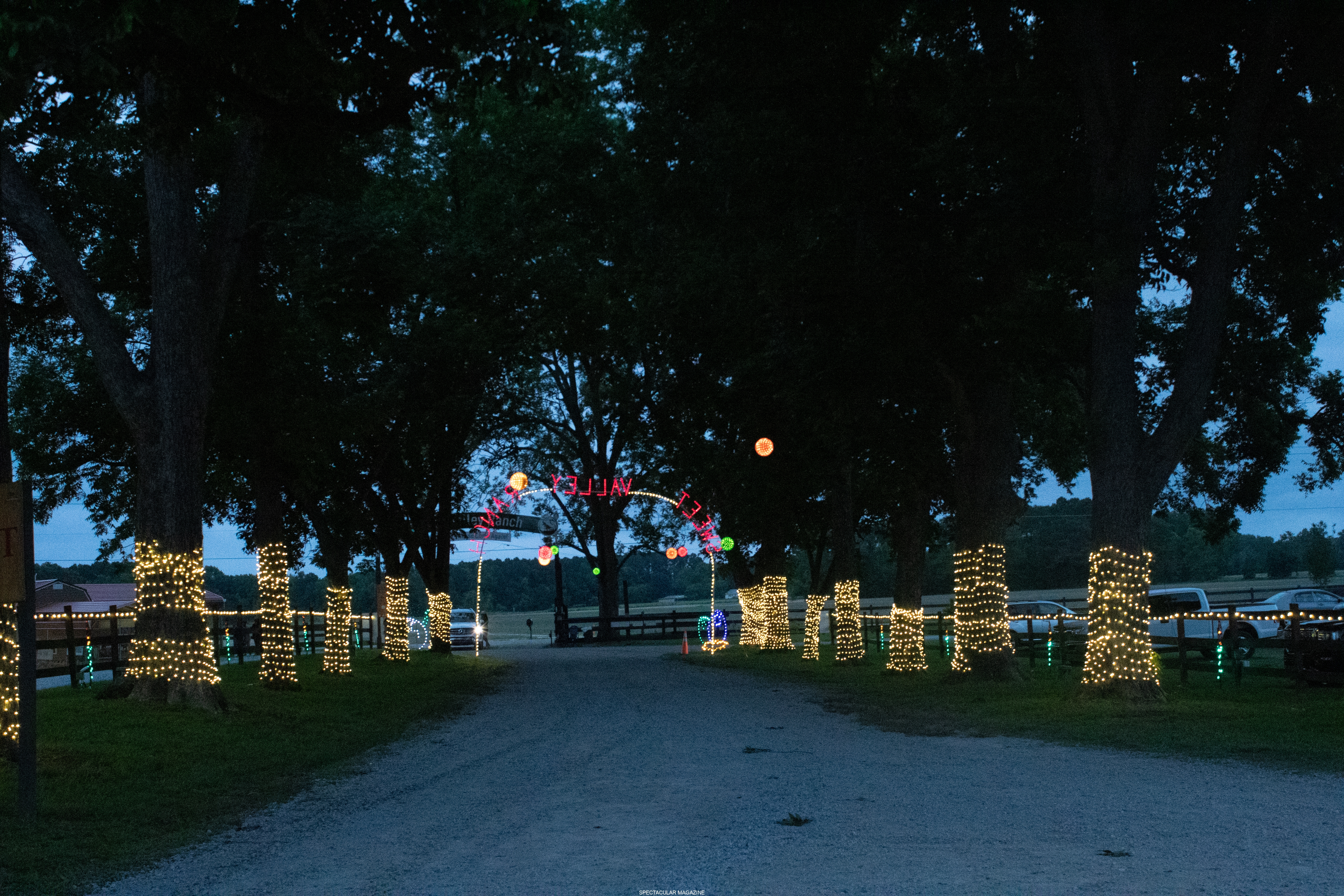 dino-4