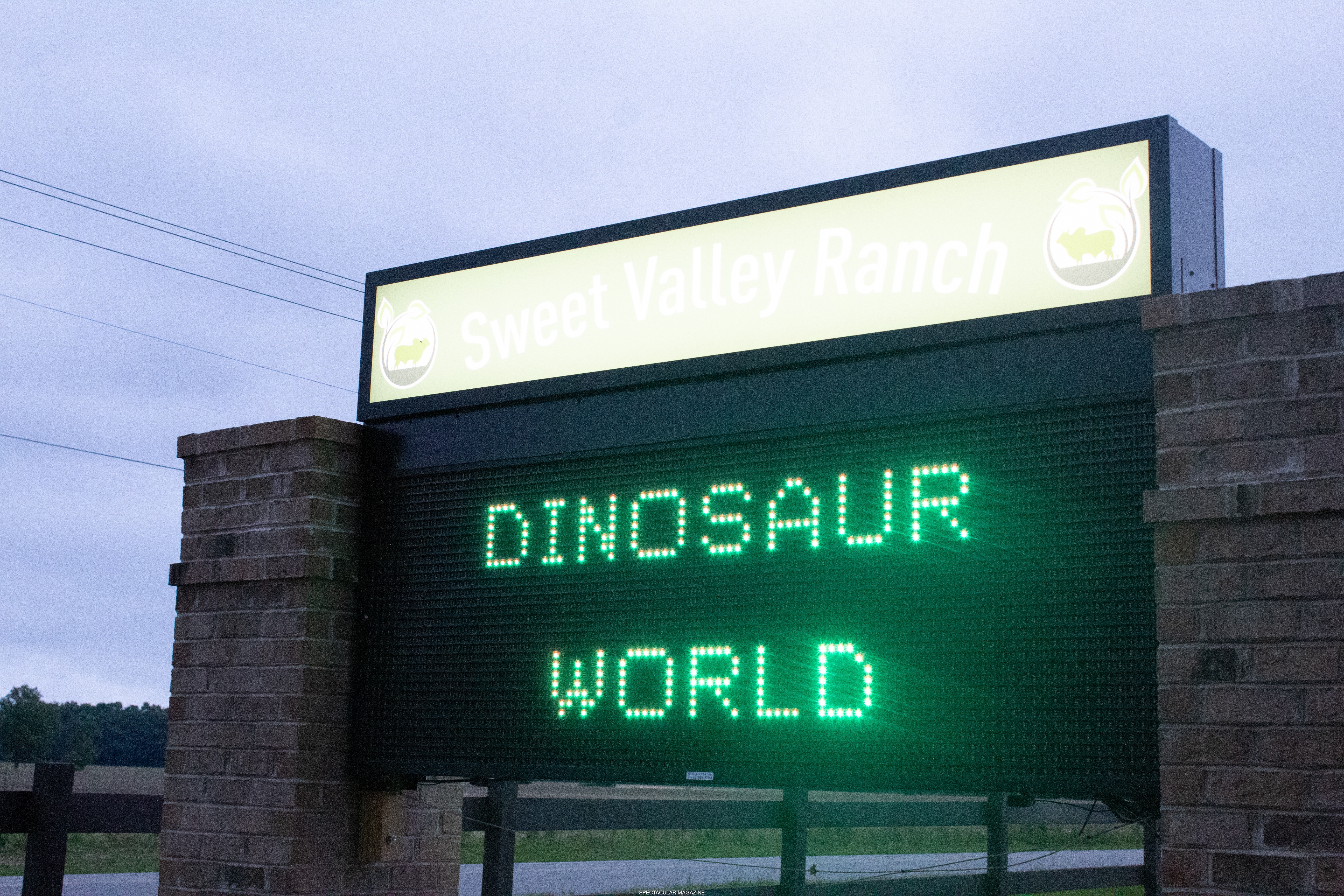 dino-8