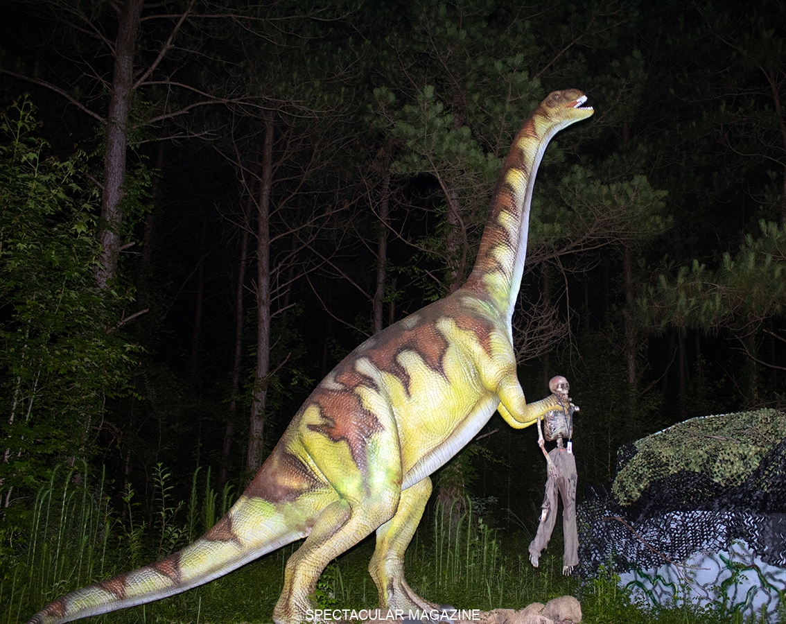 dinoSAUR
