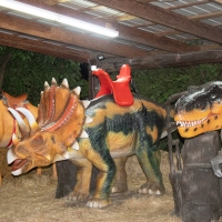 dino-18