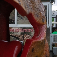 dino-3