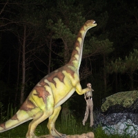 dino-31