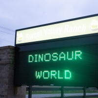 dino-8