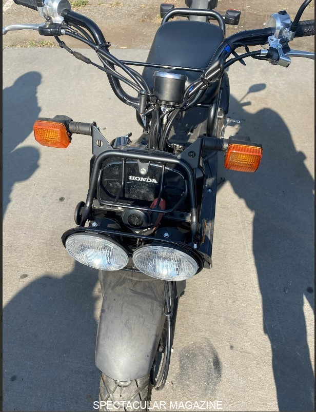 Pic-6