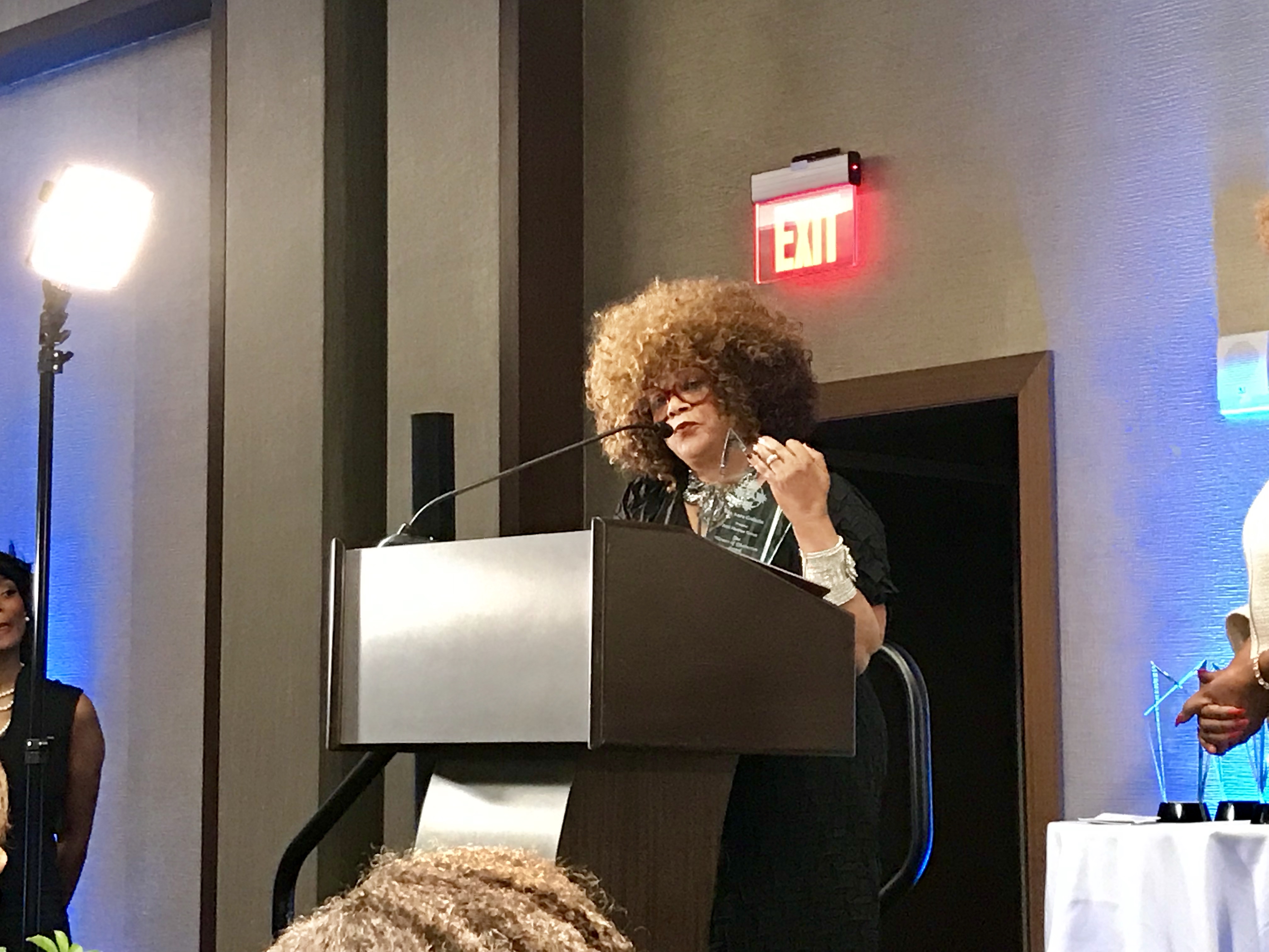 OMOV 2019 (Photos: Tameka Nichole)