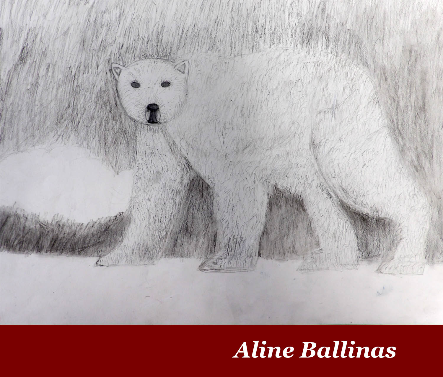 Aline-B