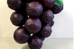 GRAPES