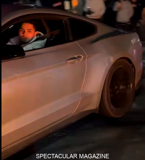 Silver-Mustang-Driver