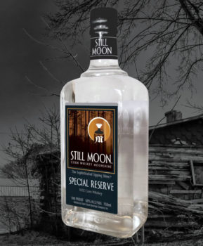 Still Moon