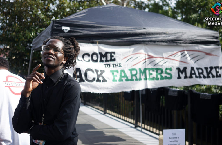 Black August In Park Founders Host Black Farmers Market Nov. 24