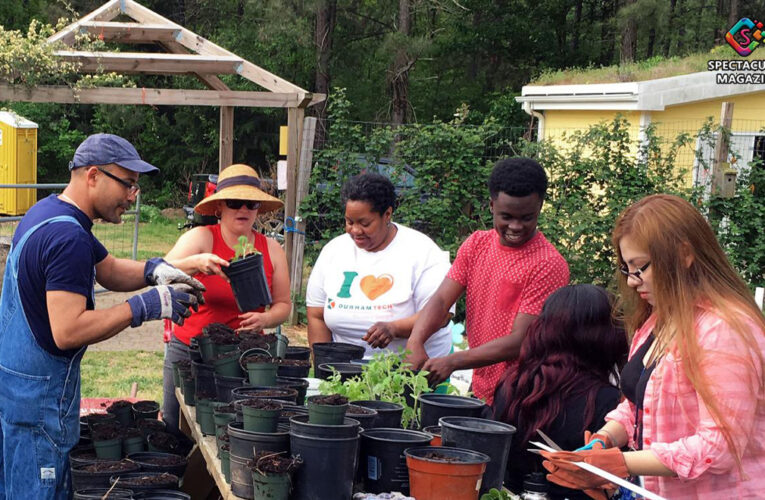 9 Neat Ways You Can Make A Difference In Your Local Community