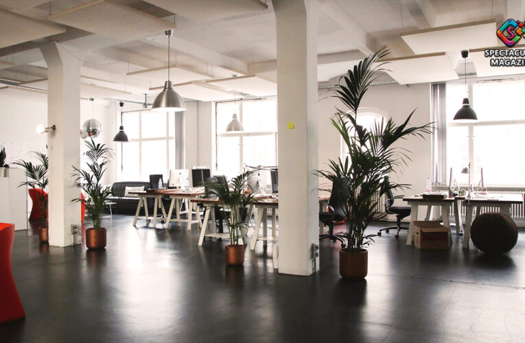 Renovate Your Office Space With This Interior Design Guide