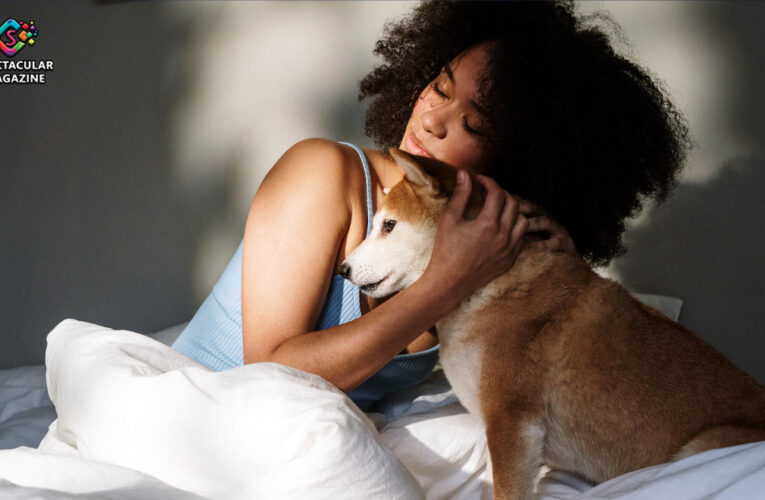 Showing Love: 4 Simple Ways to Reward Your Dog