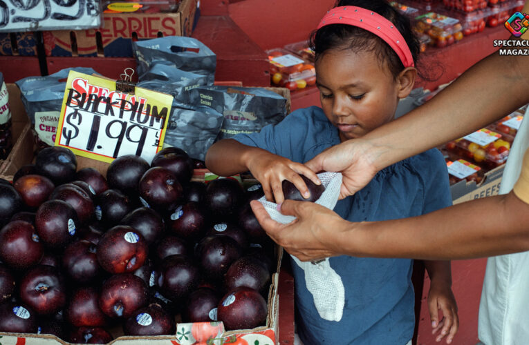 NCDHHS To Issue $413 Million In Summer Food Assistance Benefits To 1.1 Million Children