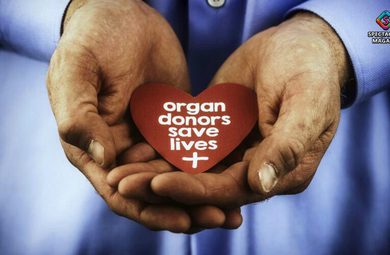 Carolina Donor Services Uses Tracking Service to Ensure Correct Delivery of Life-Saving Organs