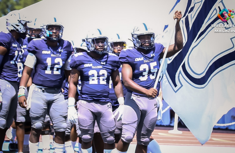 SAU Falcons Set to Host Fayetteville State This Upcoming Saturday