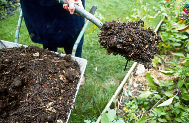 Raleigh Yard Waste Center Holds Spring BOGO Sale On Leaf Mulch