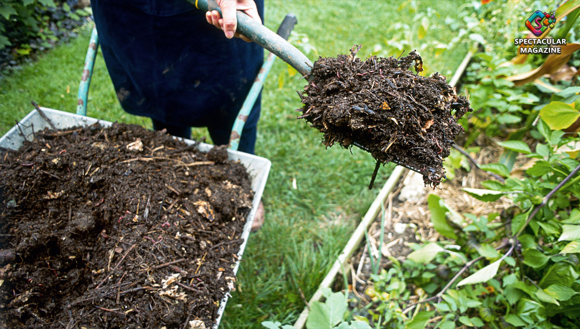 mulch