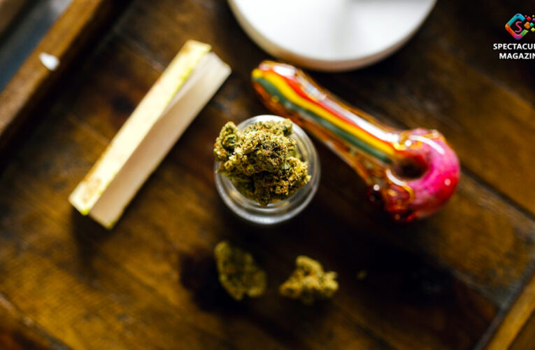 Everything You Need To Know About Legally Using Marijuana In The U.S.