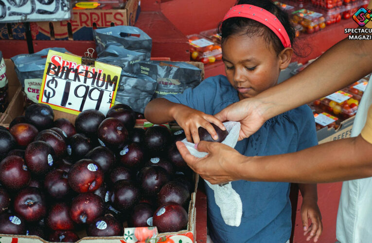 Pandemic-Era Food Support For NC Families Ending; One-Time Payment Available For Summer