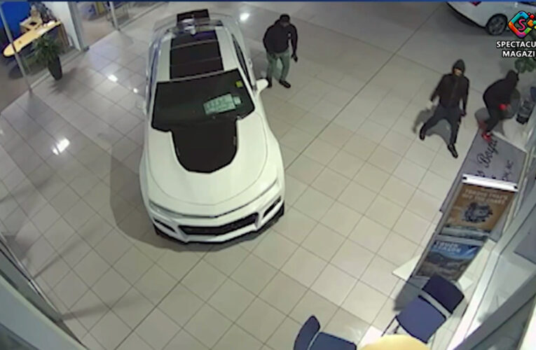 NC Thieves Hit 2 Dealerships, Stealing 6 Vehicles In Just 24 Hours Over Weekend