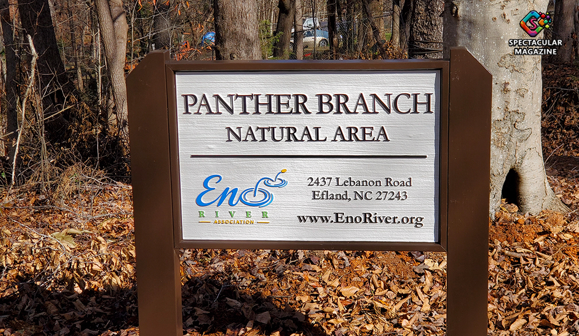 Panther Branch