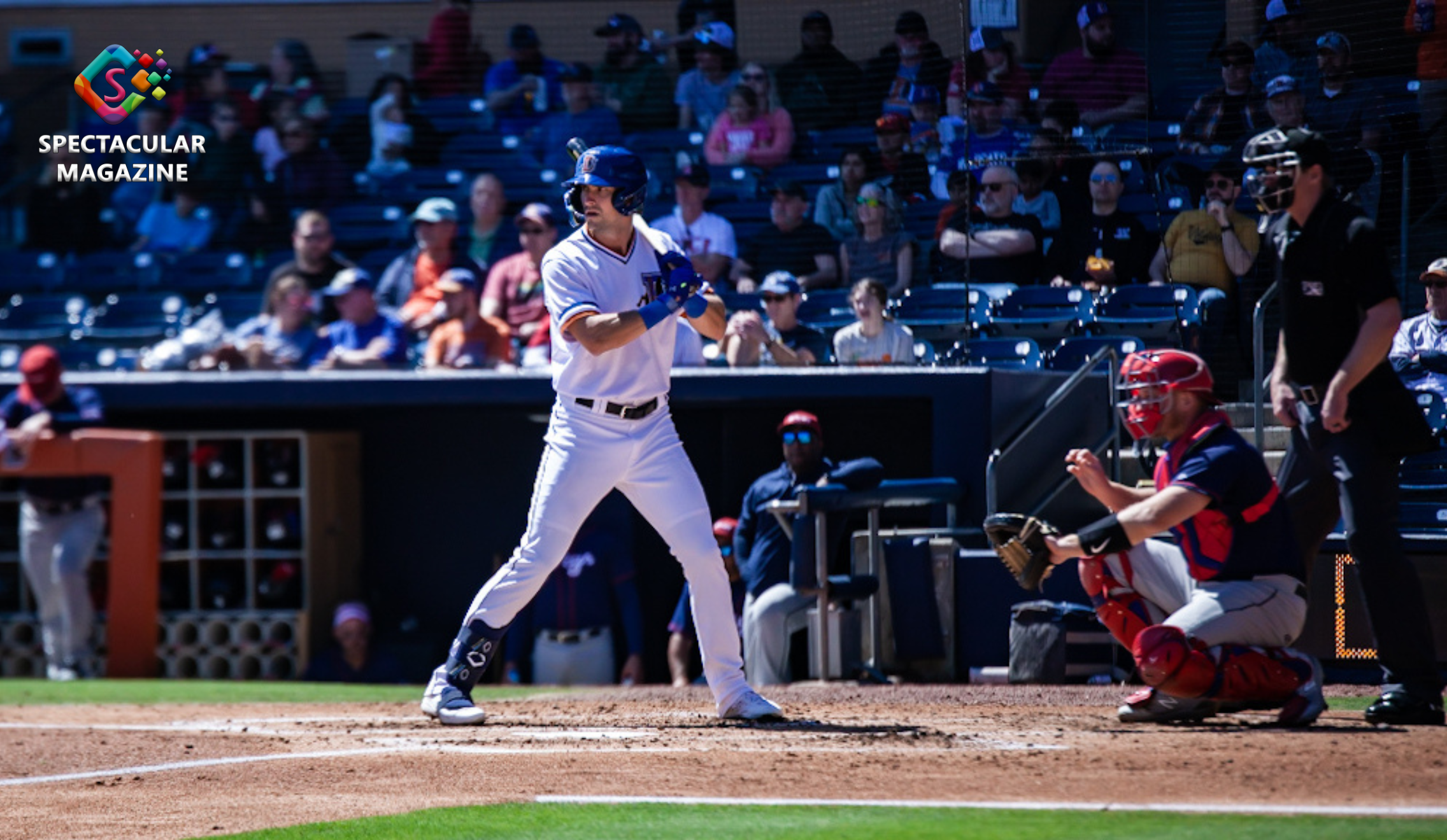 Durham Bulls, Minor League Baseball, Tampa Bay Rays