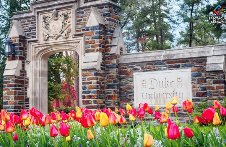 Duke University To Support Graduate, Professional Students From HBCUs With $100M Duke Endowment