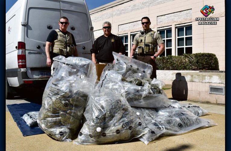 255 Pounds Of Marijuana, 524 Pounds Of “Shake” Material Seized In Person County Traffic Stop