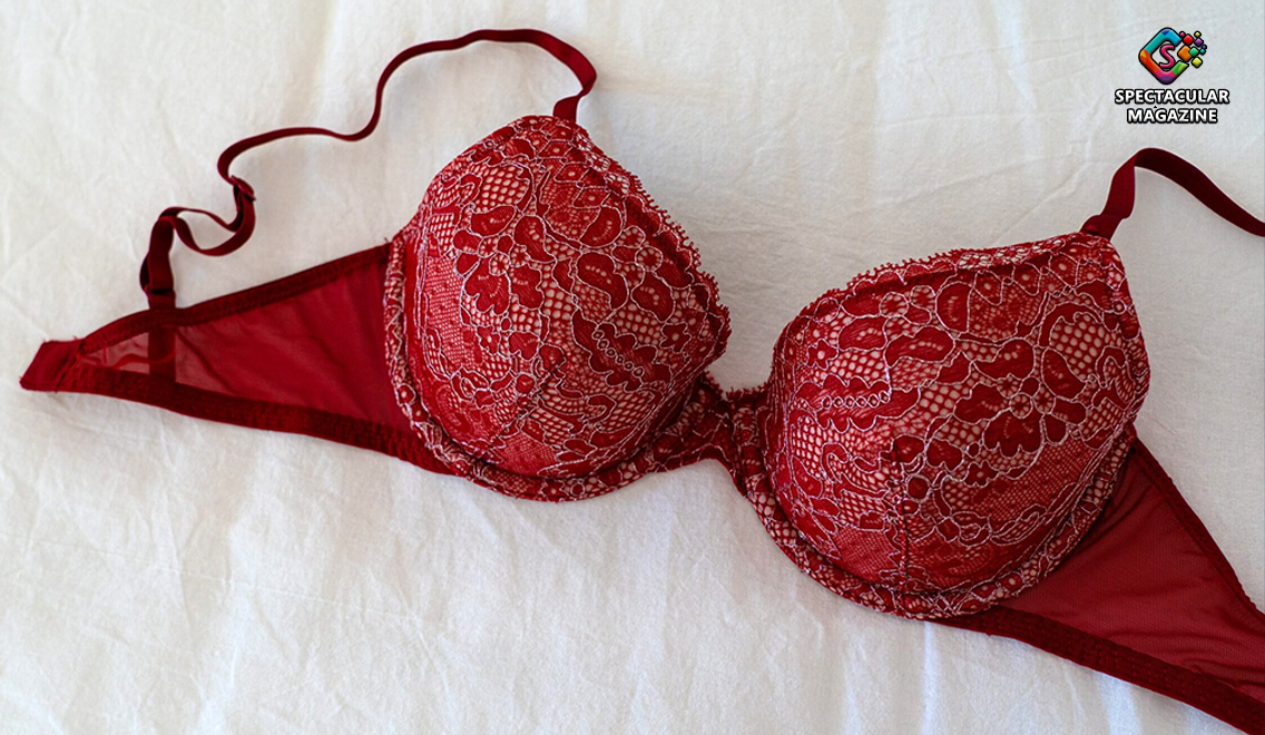 10 Best Bras To Support Large Breasts - Spectacular Magazine