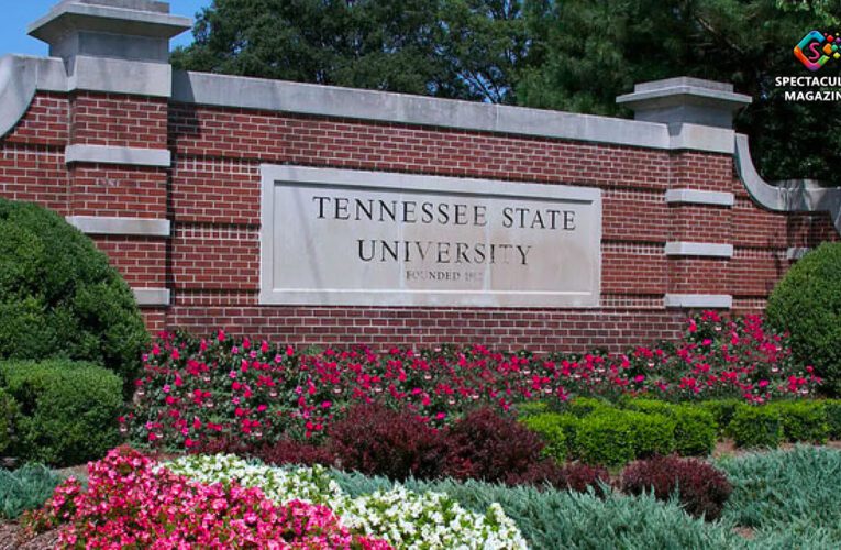 Governor Signs Bill Stripping Tennessee State Of Its Board As Years Of Underfunding Highlighted