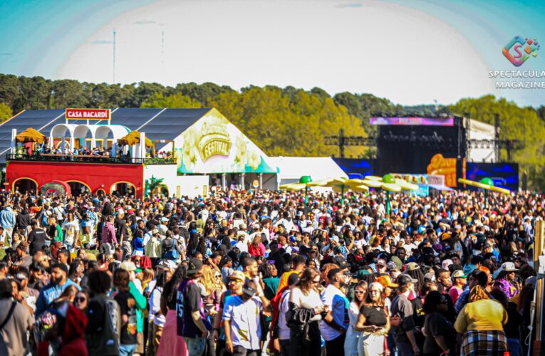 Dreamville Festival Attendees Share Experiences