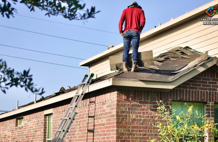 Why You Shouldn’t DIY Your Roof And Instead Hire A Pro