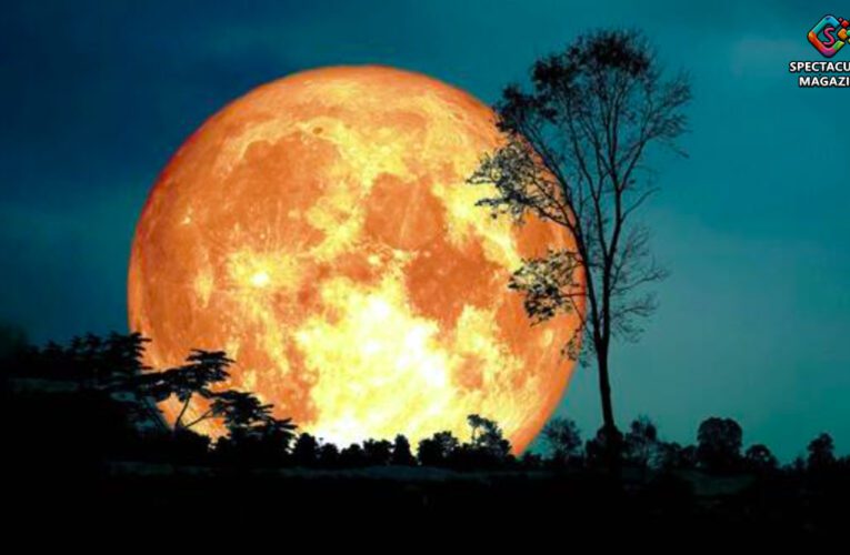 Celestial Trifecta: The Harvest Moon, Supermoon, And Partial Lunar Eclipse On Sept. 17