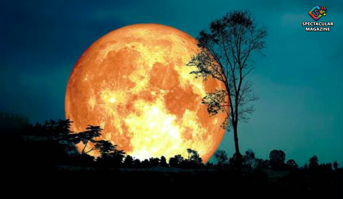 Harvest Moon