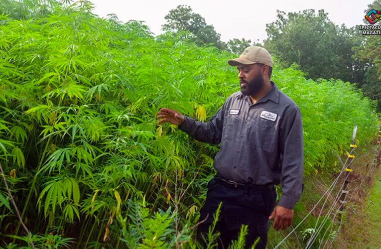 Patrick Brown: NC Small Farmer of the Year Cultivates Legacy, Community, and Industrial Hemp