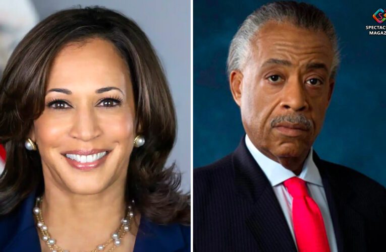 Black Churches Call for Investigation Into Al Sharpton’s $500K Donation From Kamala Harris