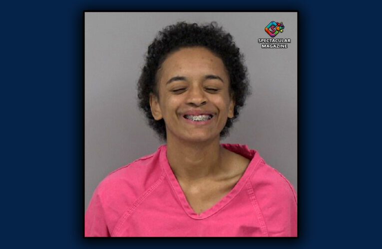 NC Woman Hits 115-MPH, Rams Police Car During Multi-County Chase