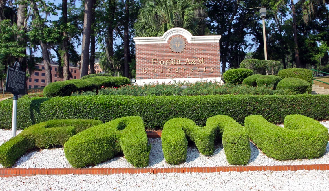 FAMU Athletic Director Angela Suggs, now facing $24K fraud and grand theft charges amid latest FAMU financial scandal